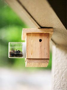 a bird house is hanging on the side of a building with a bug in it