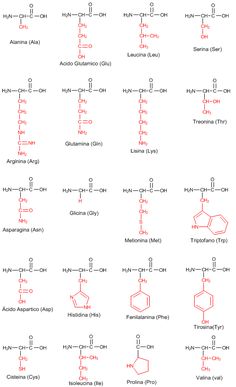 the chemical formulas for different types of liquids and their names are shown in red