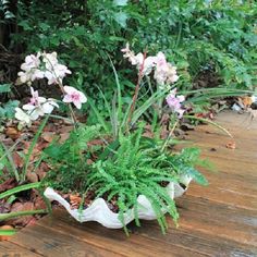 some pink and white flowers in a pot on a wooden floor with plants growing out of it