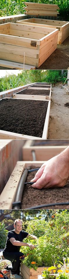 someone is placing plants in their raised garden beds