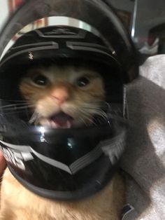 a cat wearing a helmet with its mouth open and it's tongue hanging out