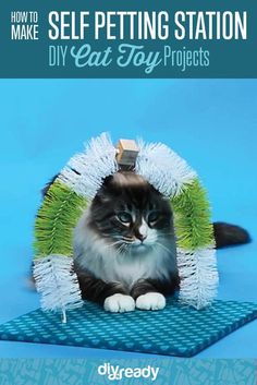 a cat sitting on top of a blue mat with the words self petting station diy cat toy projects