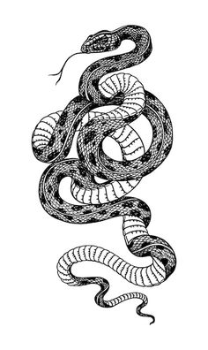 a black and white drawing of a snake