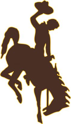 the silhouette of a man riding a horse with a hat on it's head