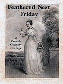 a book cover for feathered nest friday with an image of a woman in a long dress