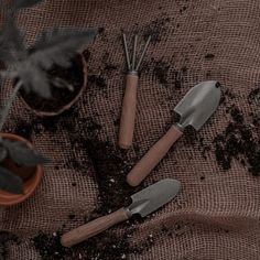 four garden tools sitting on top of dirt next to a potted plant