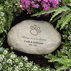 a rock with a paw on it surrounded by flowers