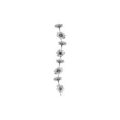 a single flower is shown in the middle of a white background with black and white lines