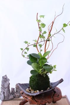 a potted plant sitting on top of a wooden stand with rocks and plants in it