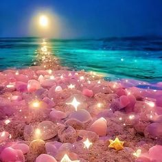 a beach covered in lots of starfish next to the ocean with lights on it