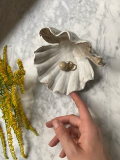 a hand pointing at a sea shell on a table next to yellow flowers and plants