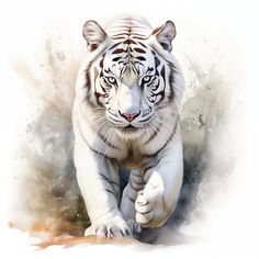 a painting of a white tiger running in the dirt with watercolor paint on it's face