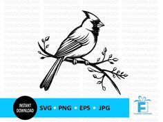 a bird sitting on top of a tree branch with the words svg png eps