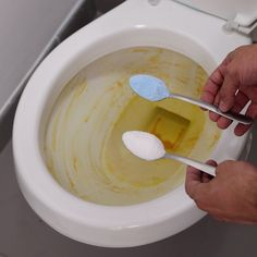 a person holding two spoons over a dirty toilet bowl with yellow liquid in it