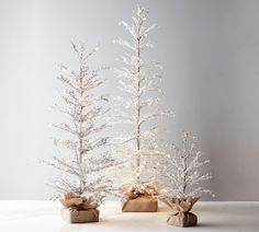 two small white christmas trees with lights on them and bows tied around the branches, sitting next to each other