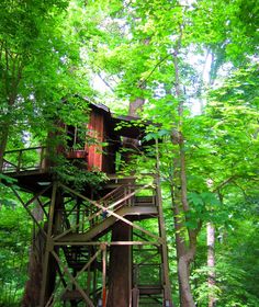 a tall tree house in the middle of some trees with stairs leading up to it