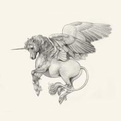 a pencil drawing of a unicorn with wings