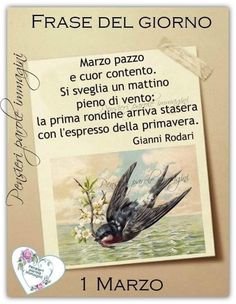 a card with an image of a bird flying over water and the words, frase del giorno