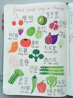 an open notebook with fruits and vegetables written in chinese characters on it's cover