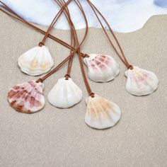 five seashells are hanging from a cord on the beach