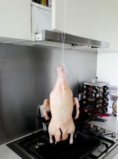 a chicken hanging from a string on top of a stove