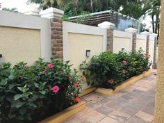 some plants are growing on the side of a wall and in front of a building