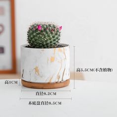 China Decorative Modern Indoor Mini Small Ceramic Bonsai Succulent Plant Pot Flower Pot - Buy Flower Pot,Plant Pot,Succulent Flower Pot Product on Alibaba.com Flower Pot Decoration, Dye Flowers, Pottery Pots, Small Cactus, Ceramic Flower Pots, Succulent Plant, Flower Planters, Succulent Pots