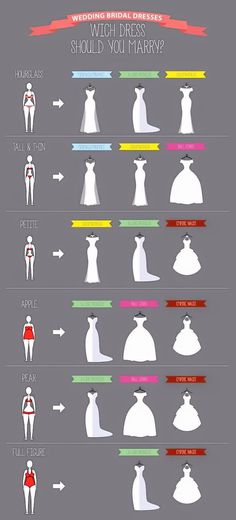 an info sheet showing the different types of chess pieces