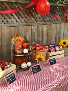 a table topped with lots of fruits and vegetables on top of a red checkered table cloth