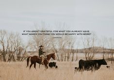 a man riding on the back of a brown horse next to cattle in a field