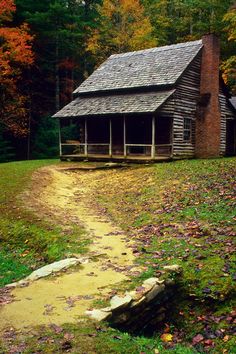 an old log cabin in the woods surrounded by fall leaves and fallen leaves on the ground