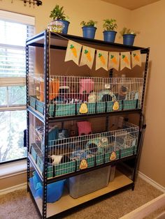 an animal cage filled with small animals in front of a window and potted plants on top of it