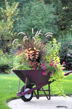 a wheelbarrow filled with flowers and plants