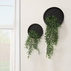 two black plates with green plants hanging on the wall