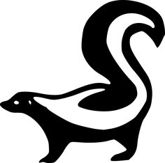 an animal that is black and white with the tail curled up to look like a squirrel