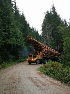 a yellow truck carrying logs down a dirt road