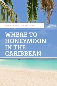 a beach with palm trees and the words where to honeymoon in the caribean