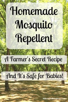 a sign that says homemade mosquito repellent and it's safe for babies