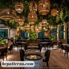 the interior of a restaurant with hanging lights and plants on the ceiling, along with wooden tables and chairs