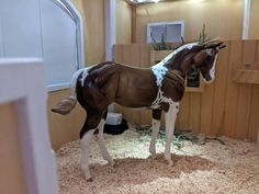 a brown and white horse standing on top of a pile of hay