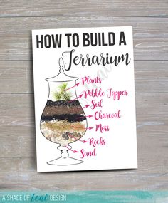 a card with the words how to build a terrarium on it and an image of a