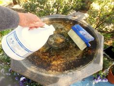 a person is using a brush to clean a bird bath