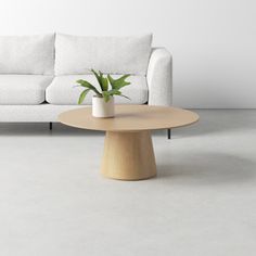 a white couch sitting next to a table with a potted plant on top of it