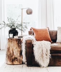 a living room with a couch, table and potted plant on the sideboard