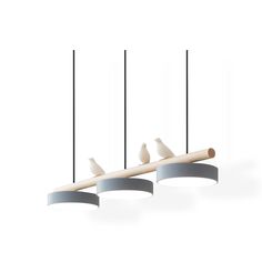 three birds sitting on top of a wooden beam suspended from the ceiling with four lights