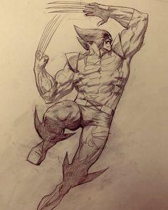 a pencil drawing of a wolverine in action