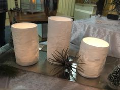 three white candles sitting on top of a table next to a potted spider plant