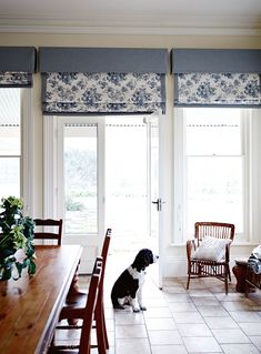 a black and white dog sitting on the floor in front of a dining room table