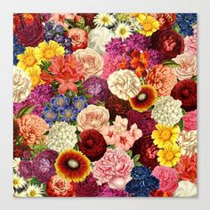 a large group of colorful flowers on a white background