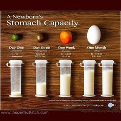 a poster showing the stages of stomach capacity for different types of eggs